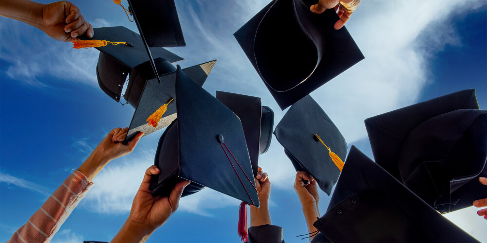 Program and Courses