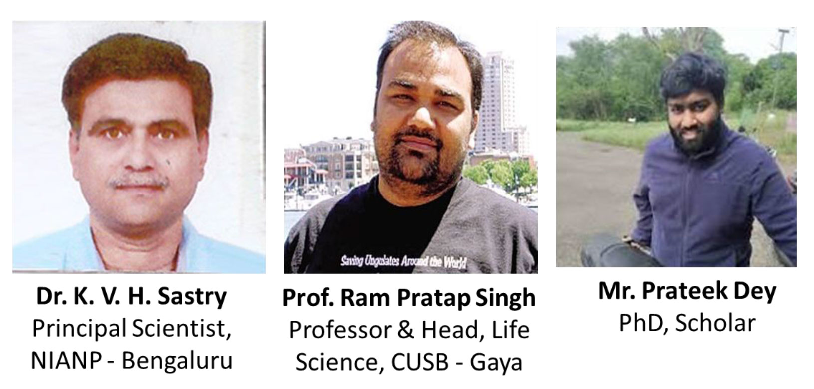 Research work of Prof. Ram Pratap Singh published in prestigious scientific journal 